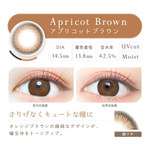 Ever Color 1day Natural 11選色 日拋 每盒20片